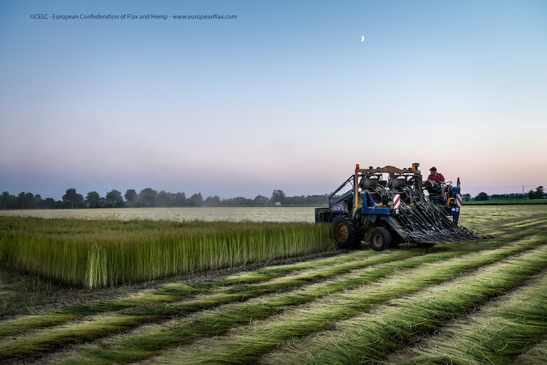 Europäischen Verband für Flachs und Hanf Le-Theil-Nolent (27), le 24 juillet 2012 : arrachage d'une parcelle de lin destine au Teillage de St-Martin, avec Vincent Vanfleteren (Photo Sebastien Rande / CELC)